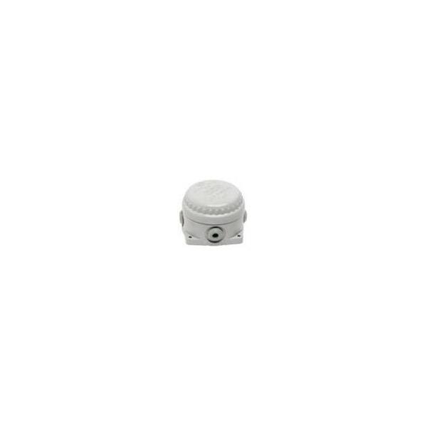 CCG128804 Remora   
